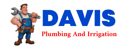 Trusted plumber in BUECHE